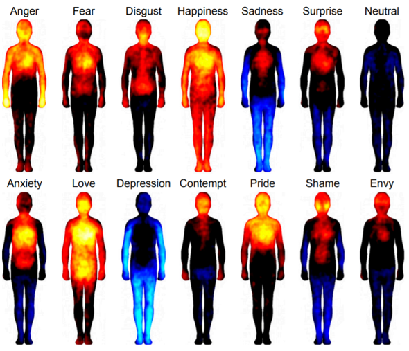 Body Signals that Emotion Has Been Triggered