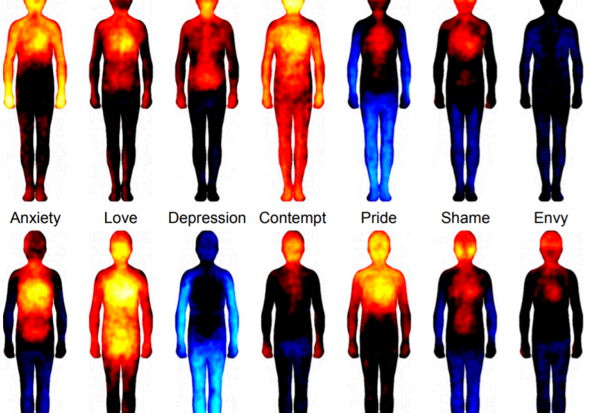 Body Signals that Emotion Has Been Triggered